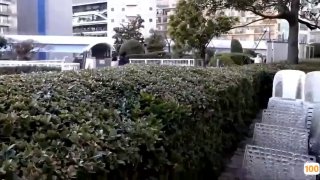 商务酒店妹妹骑在哥哥身上上下运动,高潮不断白浆连连
